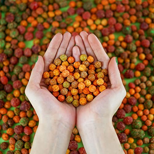 Cuidado Para El Cabello, Drugstore Imagen adicional