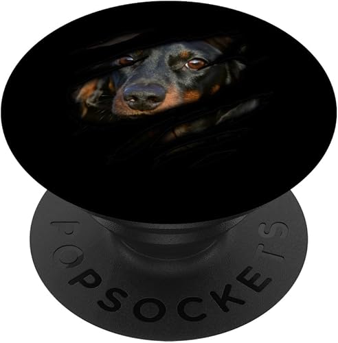 Dachshund in me design, Dogdesign, Pedigree Dog PopSockets PopGrip agarre intercambiable para teléfonos y tabletas Dachshund in me design, Dogdesign, Pedigree Dog PopSockets PopGrip agarre intercambiable para teléfonos y tabletas