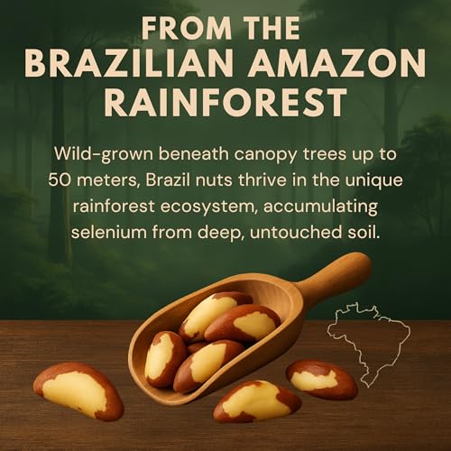 Image of Earthen Story Brazil Nuts 200g - Premium Jumbo Brazilian Nuts, Rich in Selenium, Protein, Healthy Fats & Antioxidants | Raw, Natural, Gluten-Free & Keto-Friendly Snack