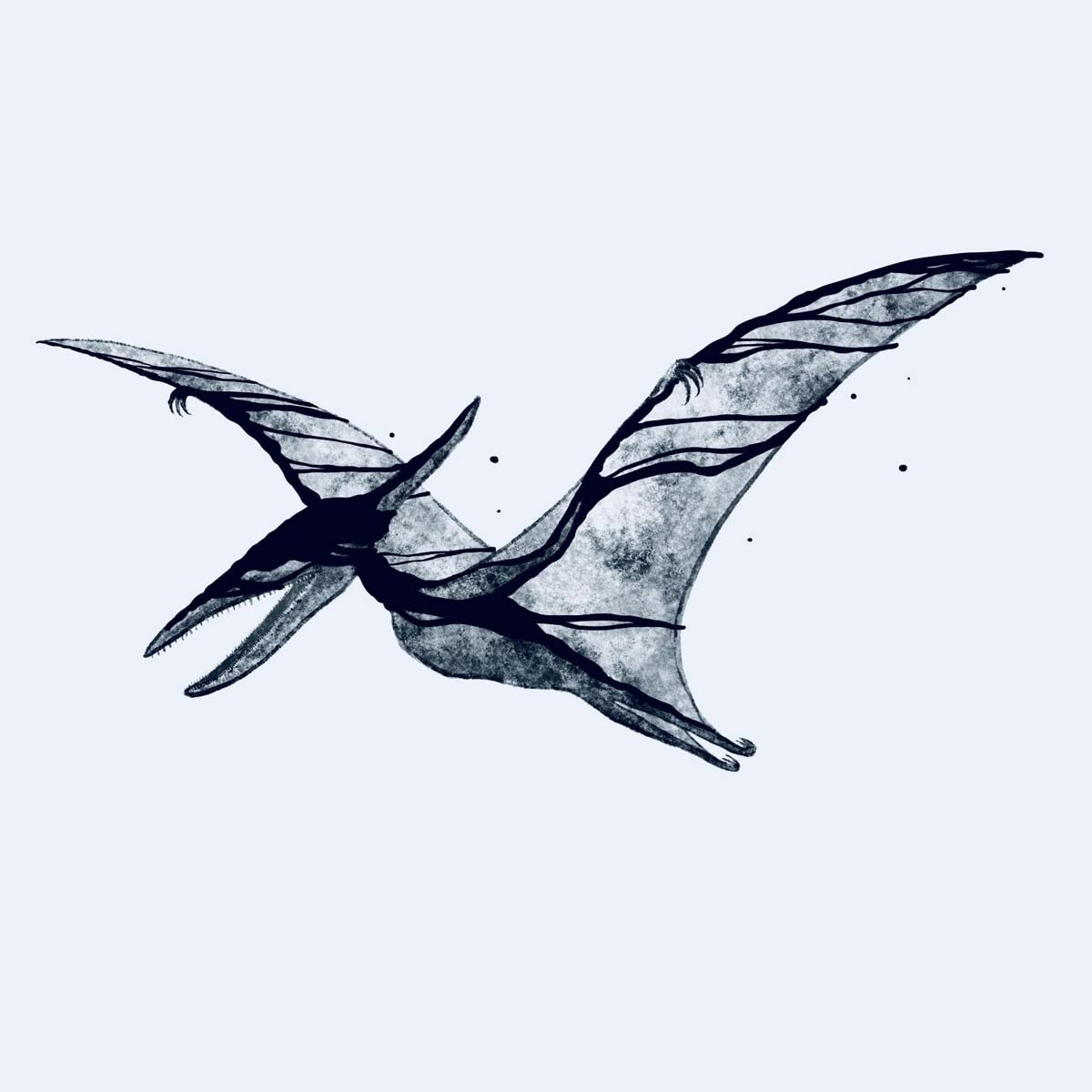Pterodactyl/Plesiosaur [VINYL]