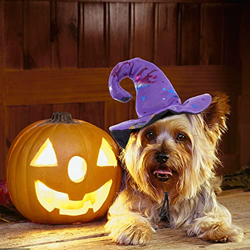 Sombrero Halloween para perro Happyyami miniatura 7