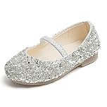 Princess Shoes Girls Glitter Mary Jane Flat Sandal Sequin Party Wedding Birthday Dress Cosplay Shoes for 3-7 Years Toddlers Kids Silver