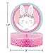 Bunny Party Birthday Decorations Kit