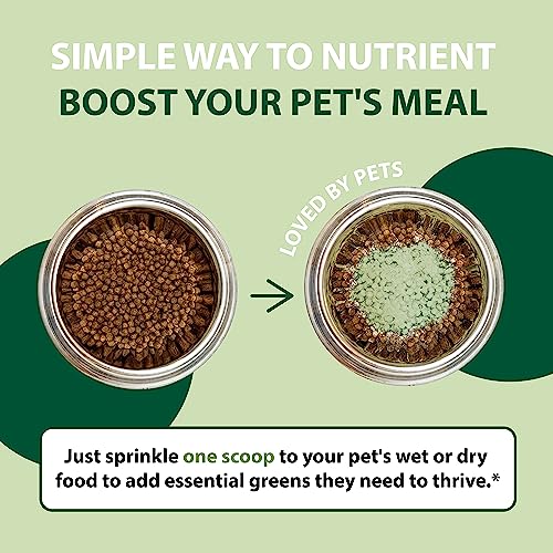 Macrolife Naturals Macropets Greens Superfood Supplement Powder Topper For Dog Cat Small Mammal, Natural Nutrition Boost Probiotics Digestive Enzymes Vitamin E - Immune Gut Health & Energy - 6.35Oz #TOP2