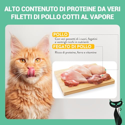 Schesir After Dark Hähnchenfilets in Brühe, komplettes Nassfutter für Katzen, aus der Dose, Grain frei, hoher Proteingehalt, feuchtigkeitsspendend, 12 x 80 g