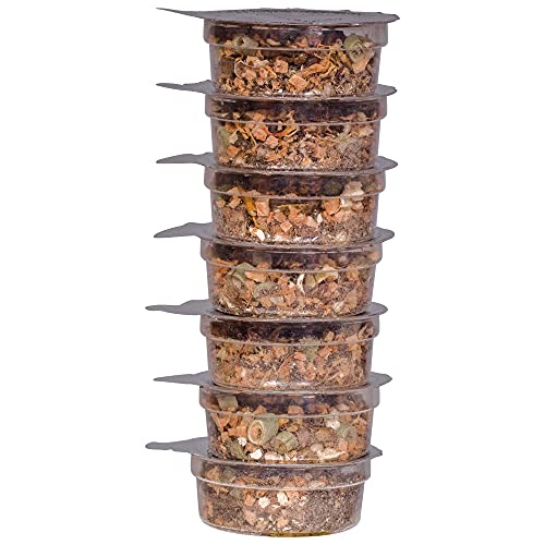 Healthy Herp Adult Dragon Food Instant Meal 7 X 0.20 Ounce (5.7 Grams) Cups #TOP4