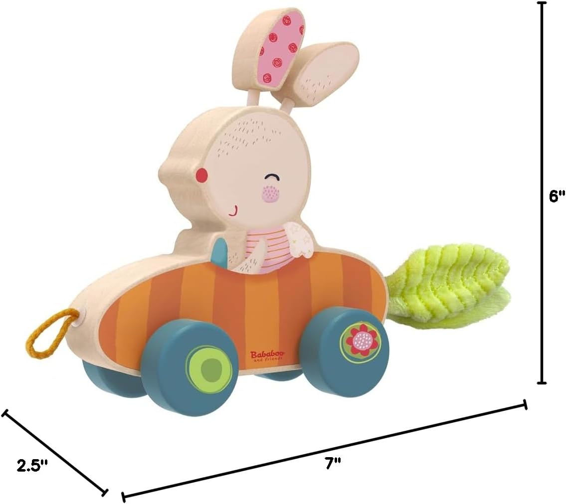 Bunny Pippa Push and Pull Toy | 10+ Months | Beech Wood | Size 7" x 6" x 2.5" | Fine Motor Skills | Playtales Included |