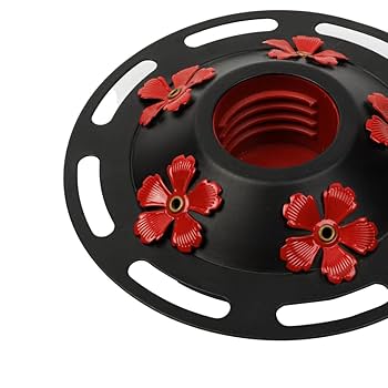 Amazon.com : WOSIBO Hummingbird Feeder Replacement Bottom