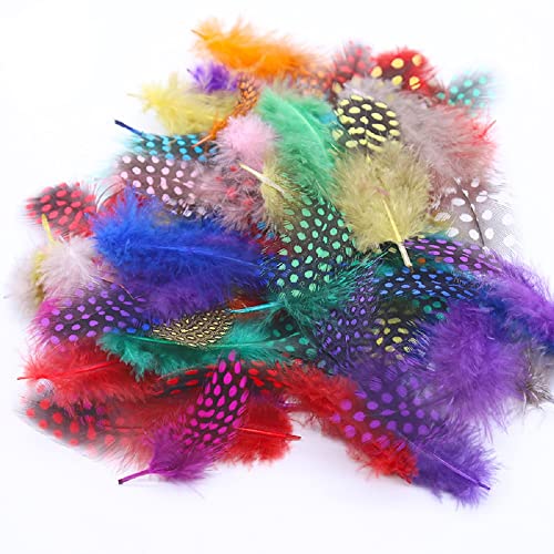 50Pcs Colored Spotted Feathers For Crafts Guinea Pheasant Feather Plume For Dream Catcher Pendant Jewelry Crafts Decoration Accessories #TOP21