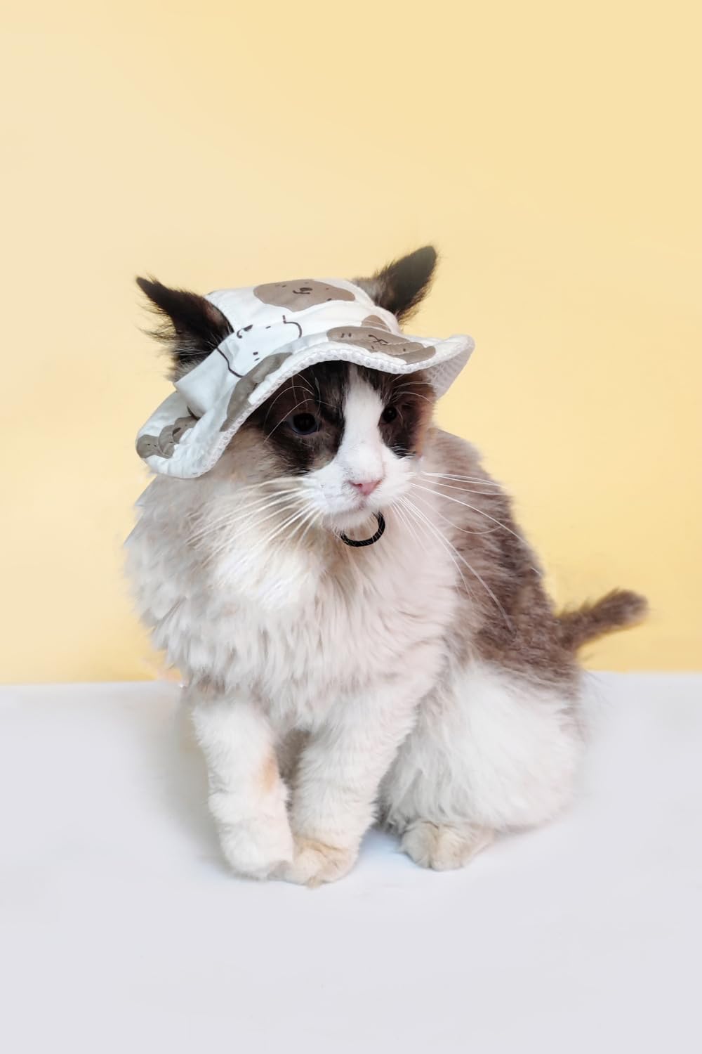 BT Bear Dog Hat - Image 4