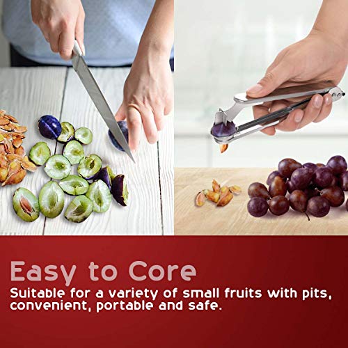Nurch Plum Pitter Tool, 304 Stainless Steel Plum Stone and Corer Pitter, Ergonomical and Portable Plum Pitting Tool for Kitchen, Great for Cherry, Jujube, Red Date, Hawthorn