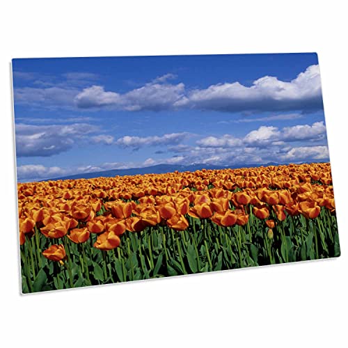 Tapete 3dRose Naranja Tulipanes 58x40 cm miniatura 1