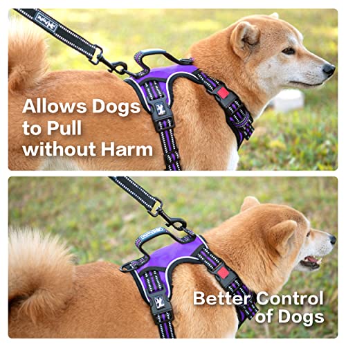 PoyPet No Pull Dog Harness, No Choke Front Clip Reflective Dog Vest with Soft Padded Vertical Handle, 3 Leash Attachments for Small Medium Large Dogs (Purple,L) - Thumbnail 4