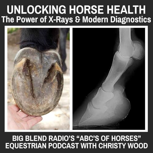Unlocking Horse Health: The Power of X-Rays and Modern Diagnostics