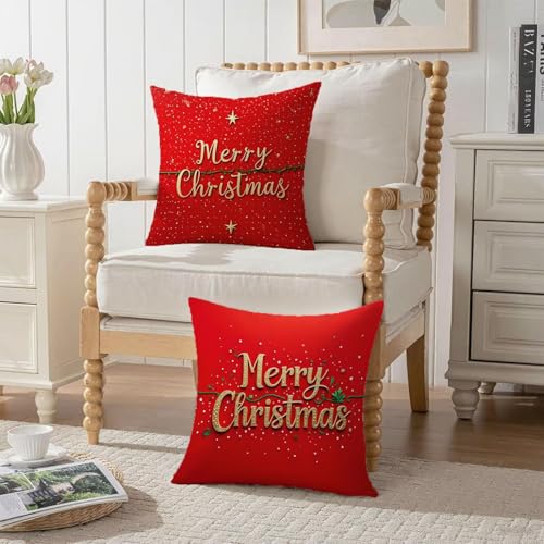 Housse de coussin de Noël 60x60cm en velours double face élégant et de qualité supérieure