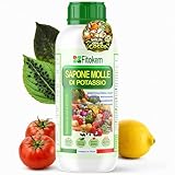 moll flanders DOVE E COME UTILIZZARLO: Può essere utilizzato in agricoltura, orto, giardino, su alberi da frutto, ma anche in casa perchè è completamente sicuro anche per bambini ed animali domestici. Diluire 10ml in 1 Litro d’acqua, bagnare bene la pianta anche sotto le foglie, applicarlo solo nelle ore serali o mattina presto (Non utilizzare sui Fiori)