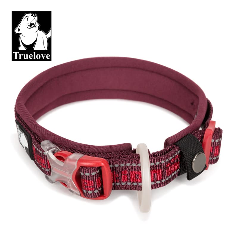 WINHYEPET True Love Reflective Dog Collar - Image 2
