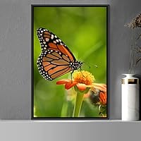 Framed Canvas Wall Art Butterfly Expressive Farmhouse/Country Home Office Insects Lake Multicolor Photography - 16x24 inches