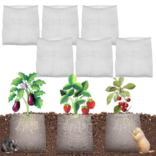 6 Pièces Panier De Protection des Racines,Protection des Racines,protections contre les racines en acier inoxydable pour plantes, corbeilles de plantation, protection contre les campagnols