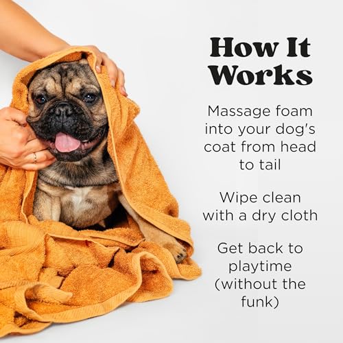 Poo-Pourri Rinse-Free Deodorizing Dry Shampoo for Dogs & Cats – Moisturizing Skin & Coat Soothing Formula - Plant Based Ingredients – Pineapple, Jasmine & Pear – No Rinse Foam Shampoo for Pet Odor - Image 6