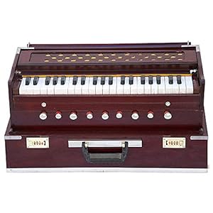 Indiase draagbare opvouwbare doos Harmonium 9 Stopper Riet 3 ¾ Octaaf