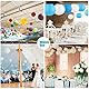 Lampions Papierlaterne 20 Stück, iMeshbean Bunt Papier Laterne 15cm /6 Zoll Rund Lampenschirm Hängende Papierlampions, Dekoration für Hochtzeit Party Geburtstage,Bunt 15cm