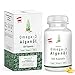 Produktbild Omega-3 Algenöl Softgel Kapseln [ 1000mg ] - 120 vegane Kapseln | pflanzlich DHA essentielle Fettsäuren - Algen Mikroalgen-Öl hergestellt in ÖSTERREICH