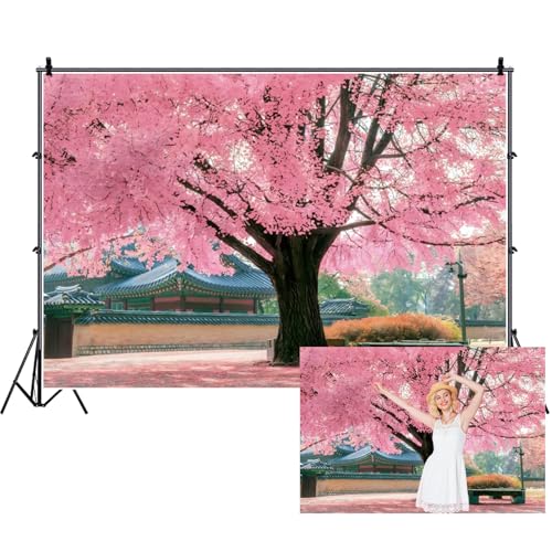 Toile de fond en fleur de cerisier rose pour anniversaire sur le thème du Japon