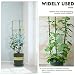 XQK 3PCS Marco de Soporte de Plantas trepadoras Jaula de Soporte de...