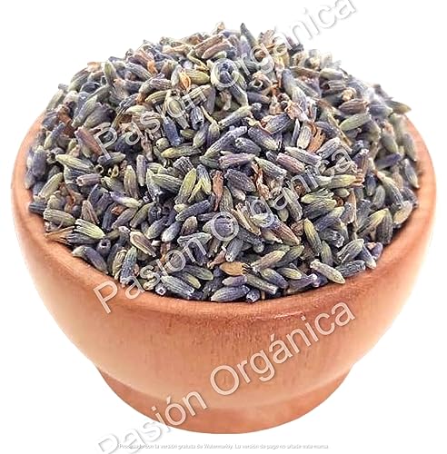 Cremas Y Lociones, Shoes Imagen adicional