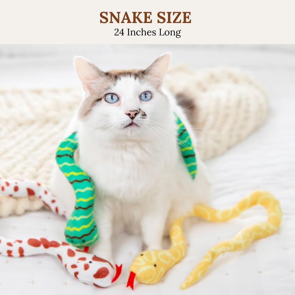 Jouets pour chat - Herbe à chat pour chats - Jouets à herbe à chat pour chats d'intérieur - Jouet pour chat en forme de lézard - Jouet interactif pour chat - Jouet à mâcher pour chat d'intérieur
