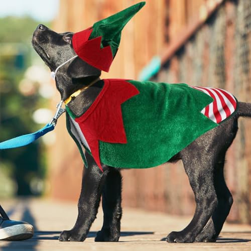 Disfraz de Navidad para Cachorro Verde para Perro Talla S miniatura 3