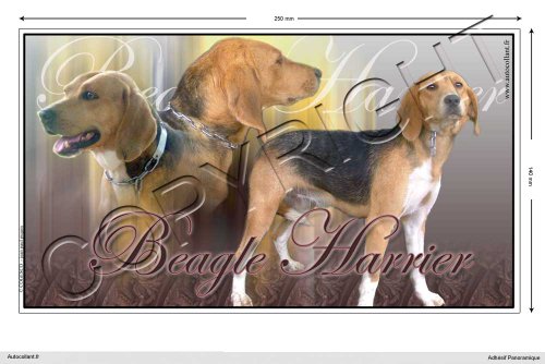 Pets-easy Autocollant Chien panoramique 25 cm Beagle-Harrier