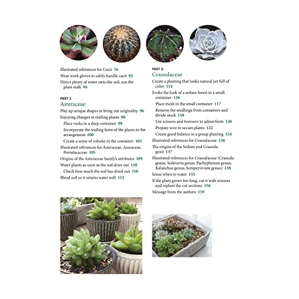 Succulents made easy a beginners guide featuring 200 varieties paperbackaugust 23 2022  urban country home decor
