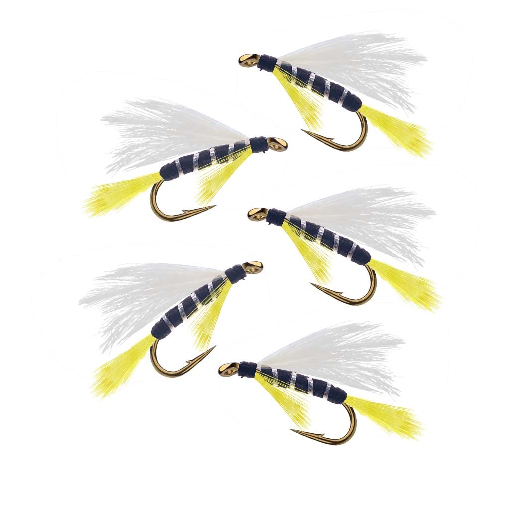 Qievcrme 10Pcs Wooly Bugger Fly Fishing Flies for Trout, Bass and Salmon-Streamer Assortment Wet Flies