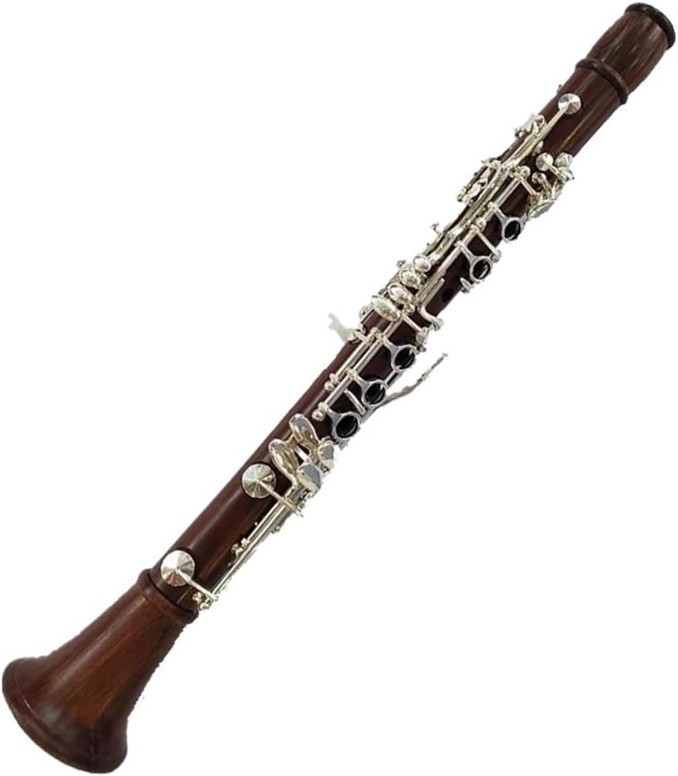Rosewood Clarinet Eb Silver Plated Key Instrument with Accessories Clarinet
