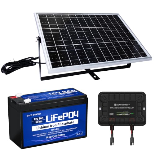ECO-WORTHY 25W 12V netzunabhängiges Solarpanel Kit mit...