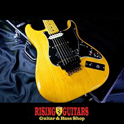 Steve vai fender stratocaster Clearance