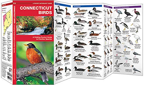 Waterford Press WFP1583551394 Connecticut Birds: A Folding Pocket Guide To Familiar Species thumb #1