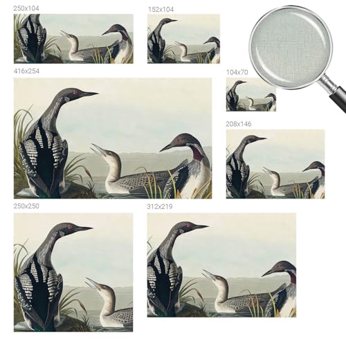 Décor Mural Adhésif Oiseaux pour une Chambre à Coucher Cocooning