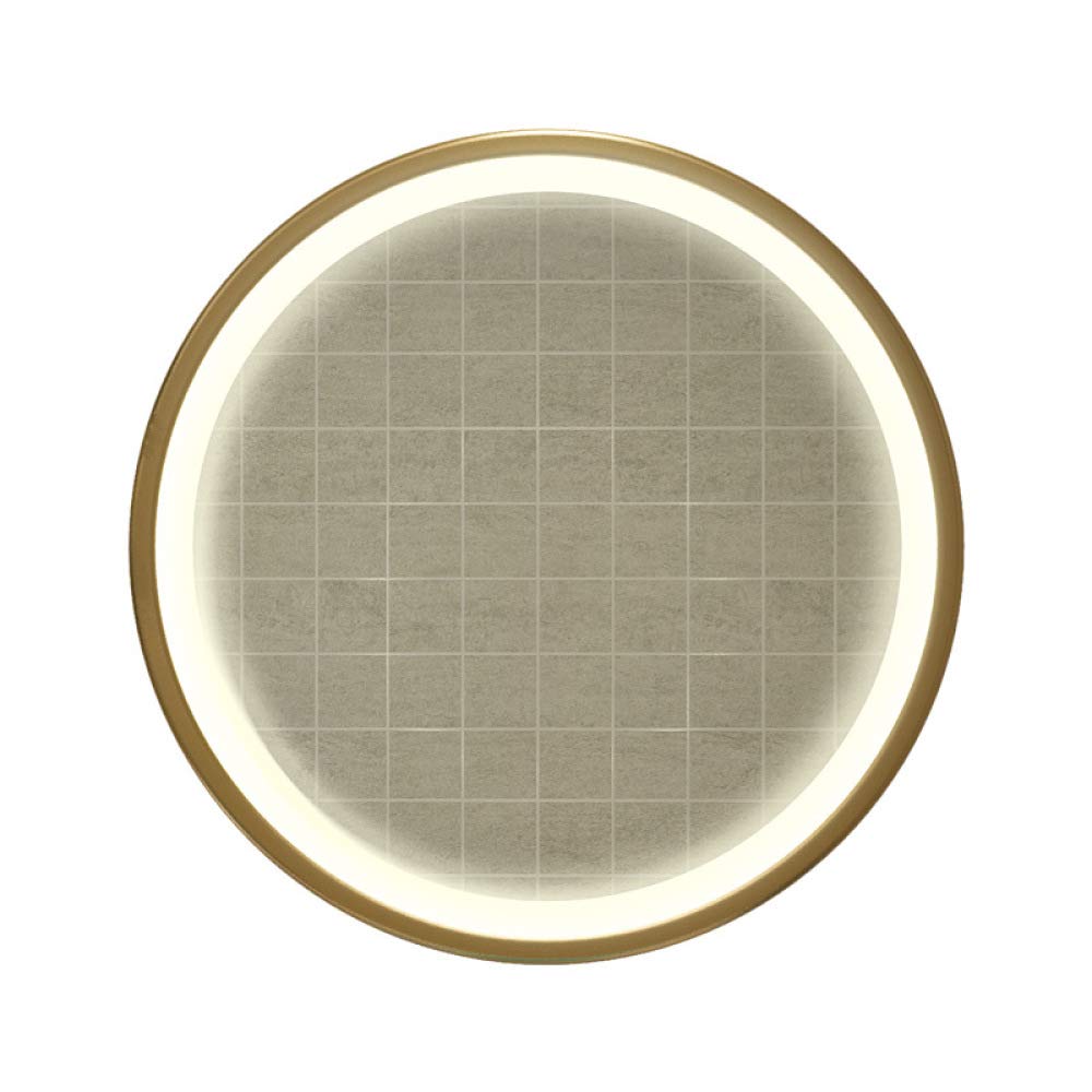 Espejo De Maquillaje Redondo Minimalista Exquisito De Hierro Forjado Espejo De Belleza Espejo De Maquillaje Para El Hogar Montado En La Pared Adecuado Para Cualquier Estilo De Hogar Moderno.,Gold1