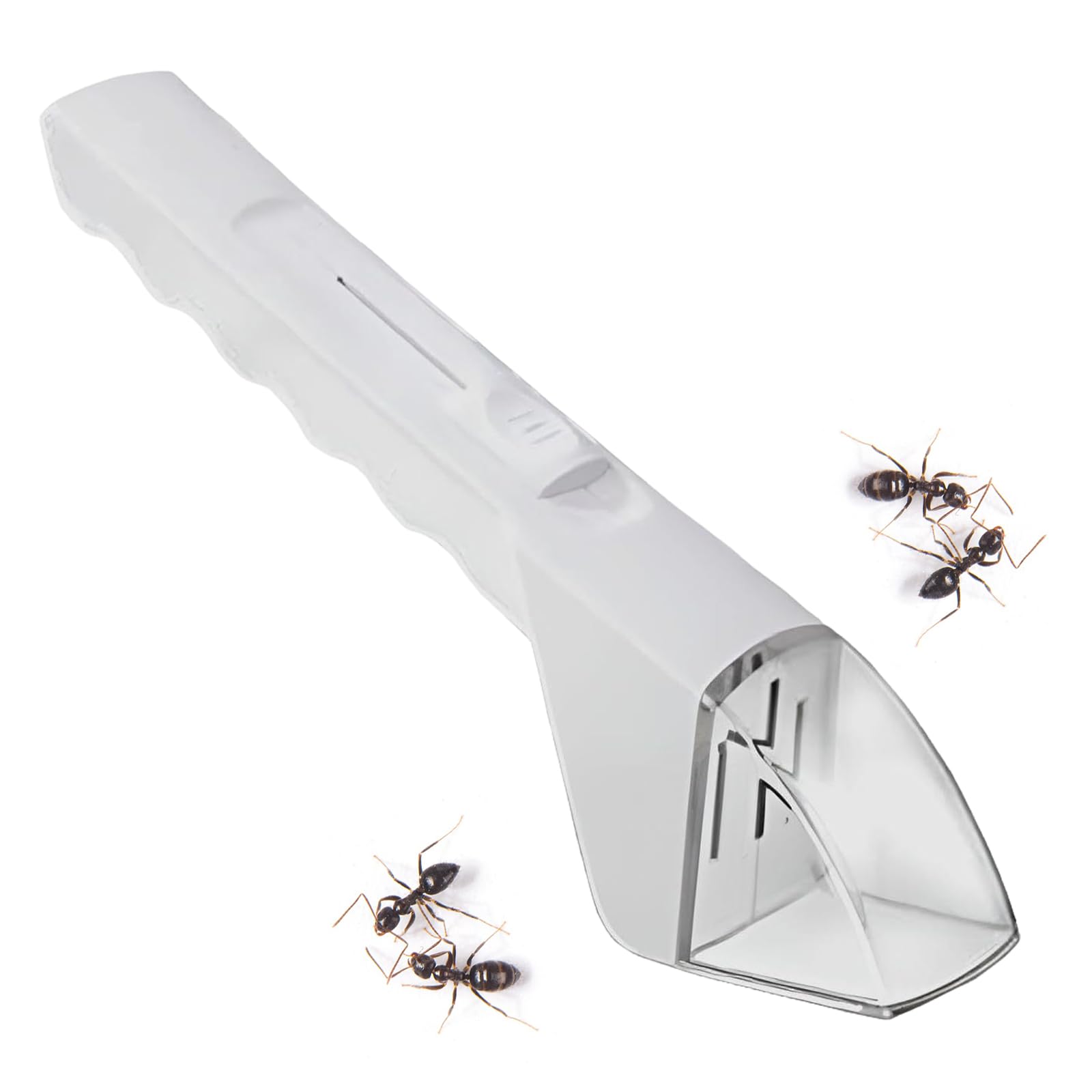 Piège Nuisible,Attrape-araignée Et Insecte, Piège à Main Pour Attraper Des Cafards, Scorpions