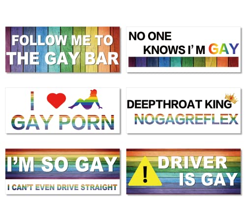 Frienda 6 Pieces Funny Bumper Stickers for Adults Funny Pranks Funny Car Stickers Funny Car Magnet Funny Car Decals Joke Present Joke Stickers Magnetic Bumper Stickers for Truck Cars Vehicle Luggage