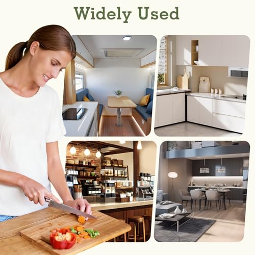 Image of Tissting 2-in-1 Knife Block & Utensil Holder, Countertop Organizer | Drainage Base | Space Saving | Kitchen Storage | Knives & Forks & Chopsticks (Beige)