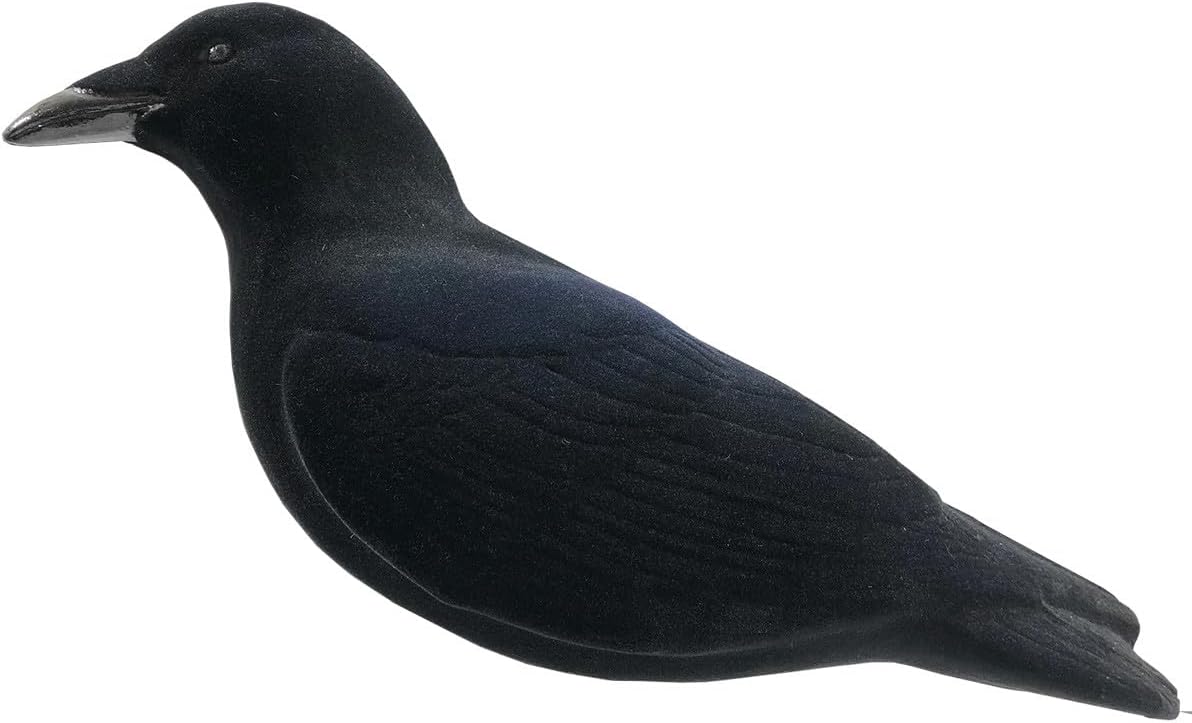 Final Approach Last Pass Fully Flocked Crow Decoys, Pack of 3