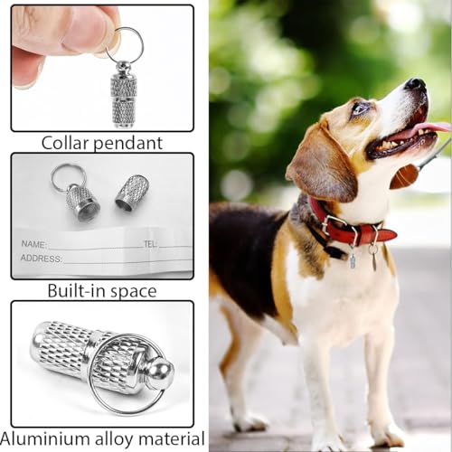 5 Stück Adressanhänger für Hunde Katzen, Katzenhalsband mit Namen, ID Tag Hundemarke Tiermarke mit Schlüsselringe, Hundehalsband Personalisiert, Adresskapsel für Haustiere, Katzen, Hunde