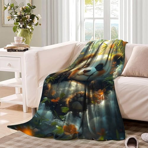 Plaid canapé confortable contre le froid, microfibre douce