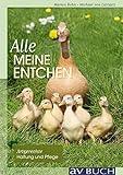  Alle meine Entchen: Artgerechte Pflege und Haltung