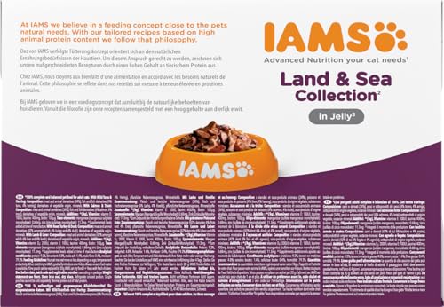 IAMS Delights Land & Sea Collection Katzenfutter Nass - Multipack mit Fleisch und Fisch Sorten in Gelee, Nassfutter für Katzen ab 1 Jahr, 12 x 85 g (Die Verpackung kann variieren )