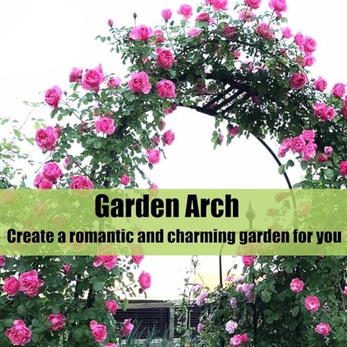 Arche de jardin en métal pour une décoration de mariage et allée fleurie - 5
